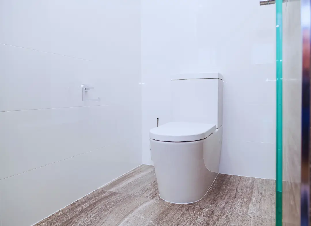 Remplacement de wc Fegersheim