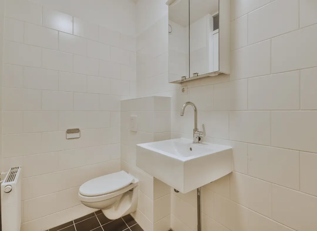 Pose WC Suspendu Fegersheim